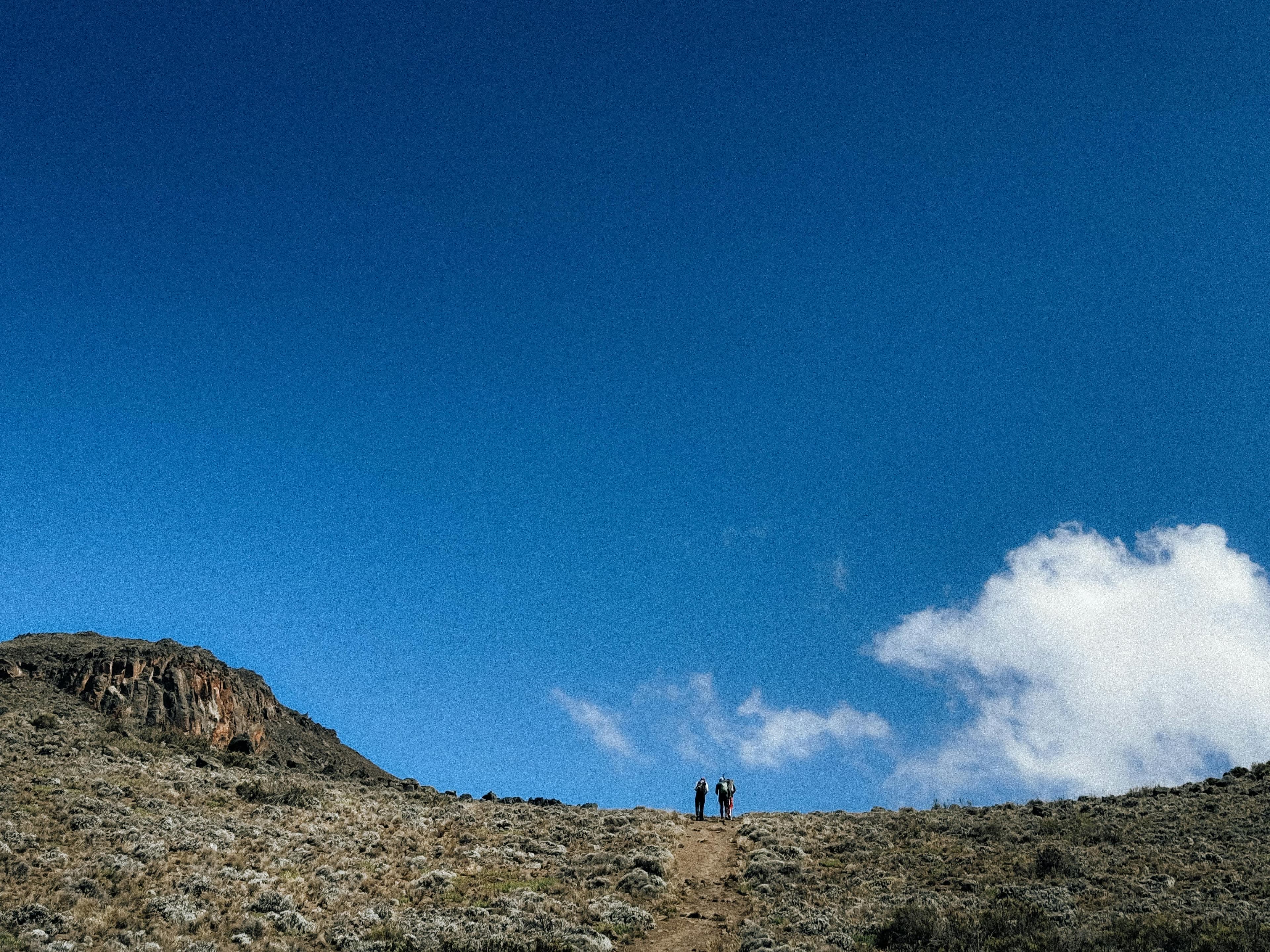 8 Days Mount Kilimanjaro Climb - Lemosho Route - Safari landscape