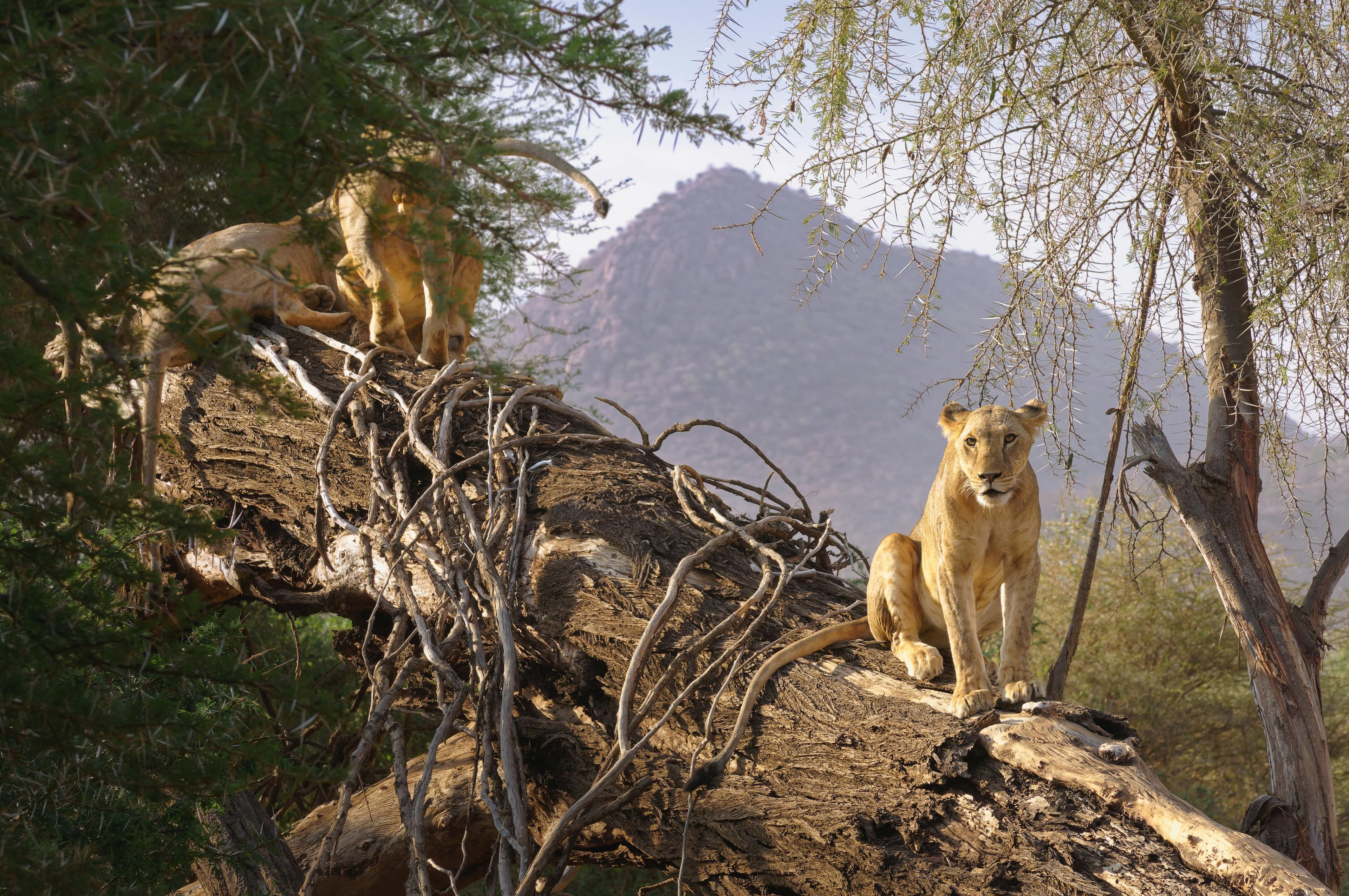 8 Days Off the Beaten Path Safari Adventure - Day 3