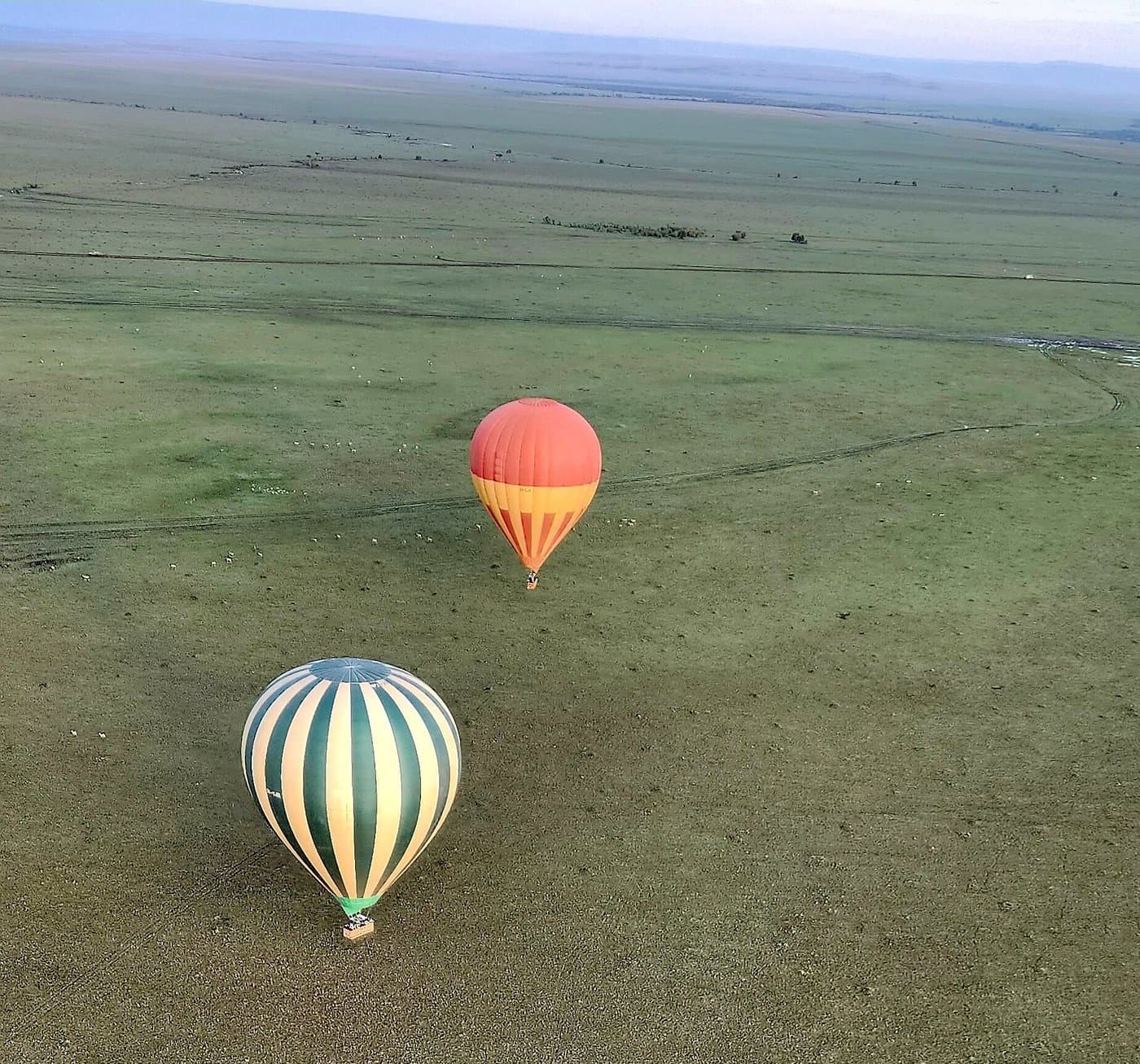 Hot Air Balloon Safari