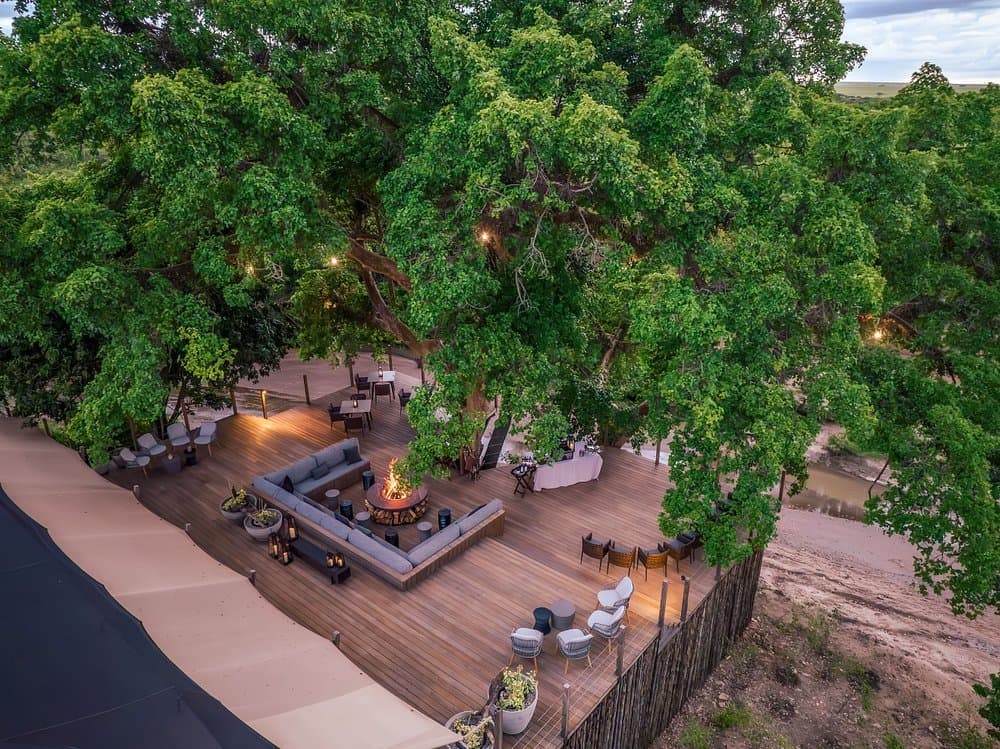 Landscape in Kenya - garden, woody-plant