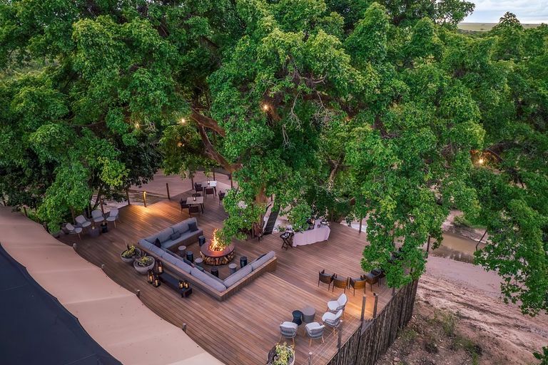 Landscape in Kenya - garden, woody-plant