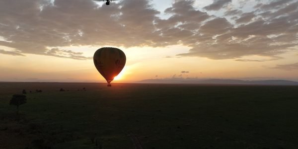Hot air balloon safaris