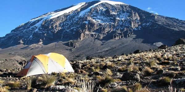 Kenya Tanzania safari tour packages